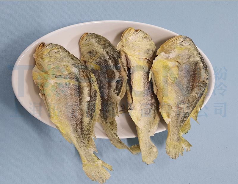黃花魚凍干，食品凍干機應用于黃花魚真空冷凍干燥