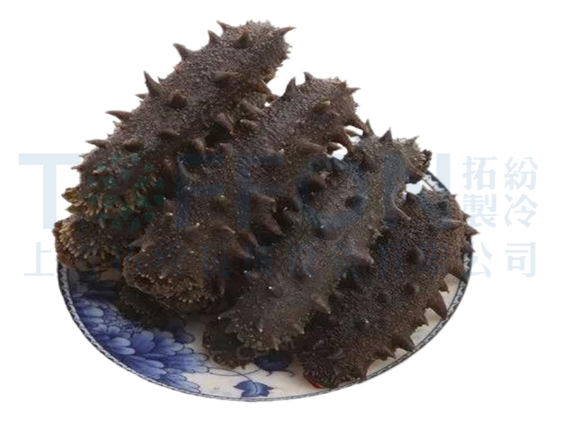 海參凍干，海鮮食品凍干技術應用于海參凍干